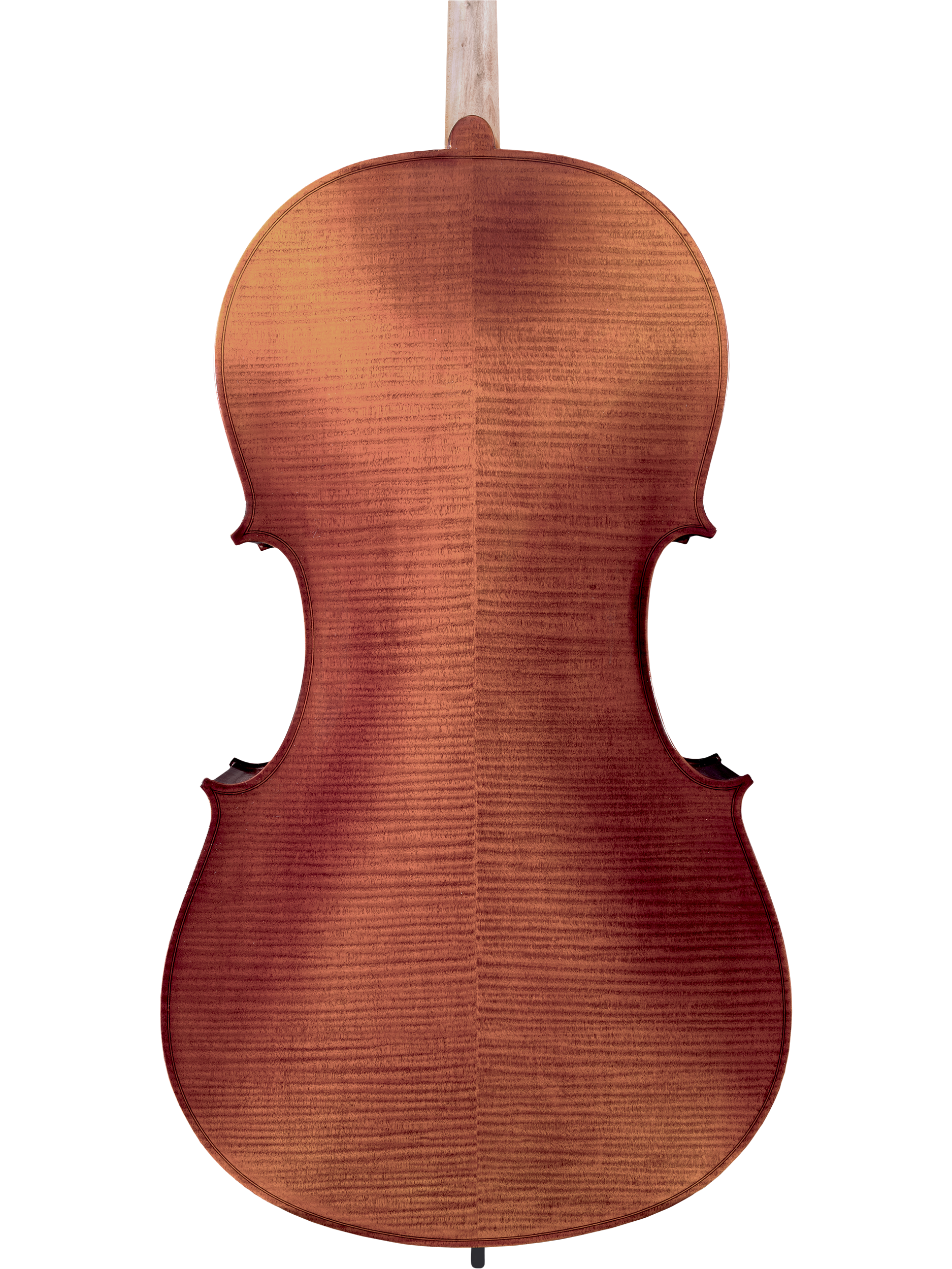Cello — Store 1 — Maple Leaf Strings